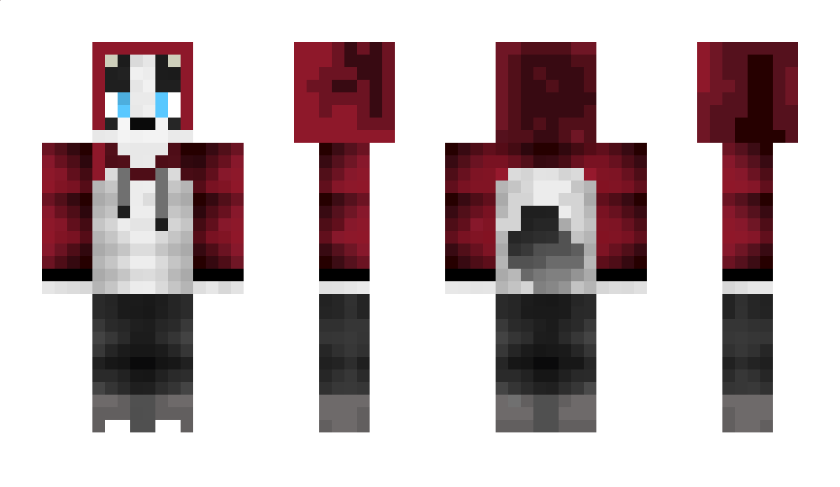 PatchBWH Minecraft Skin