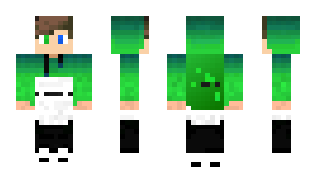 Nichu8056 Minecraft Skin