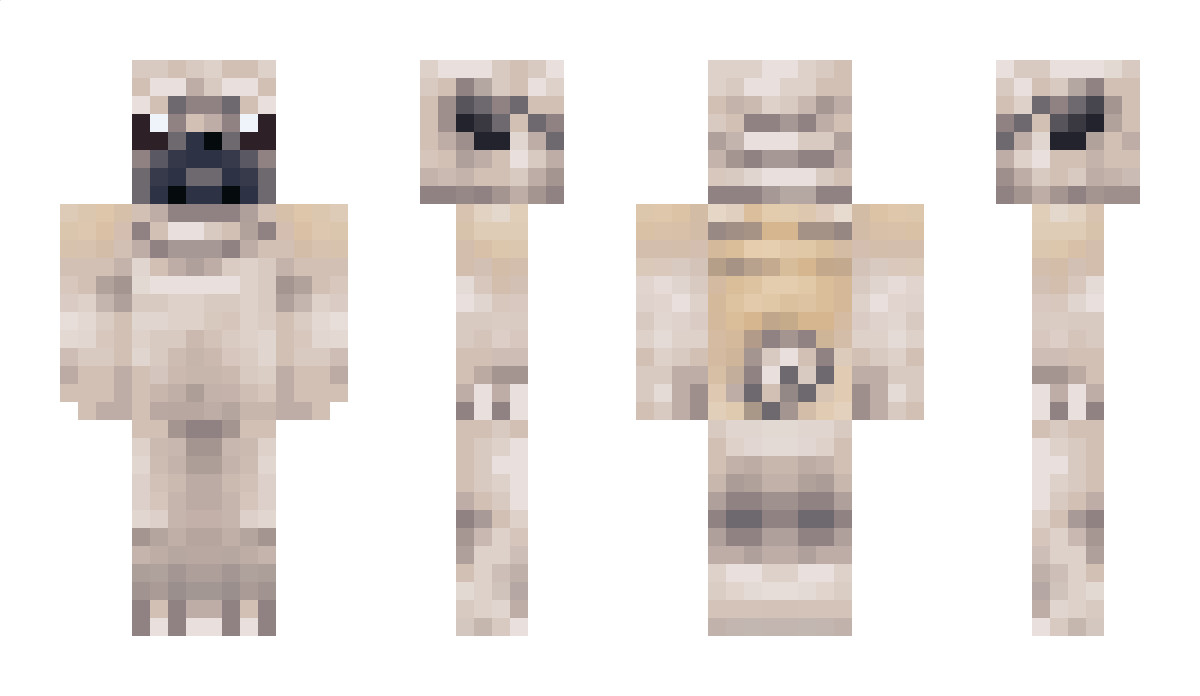 SkibidiSnarly Minecraft Skin