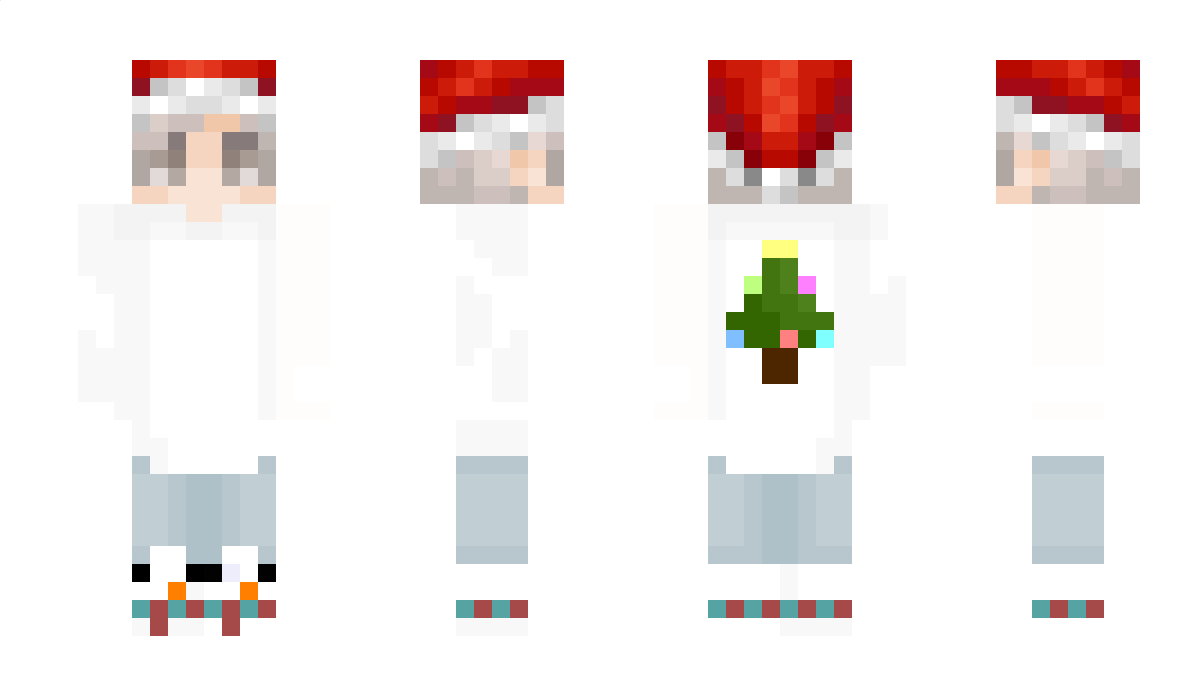 noappa Minecraft Skin