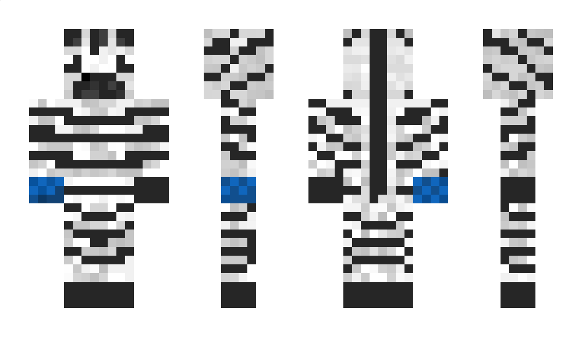 ZebraWithAGlove Minecraft Skin