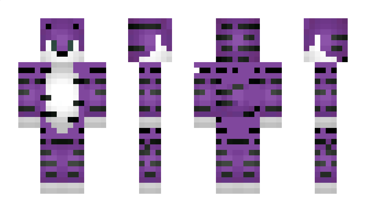 Hecticity Minecraft Skin