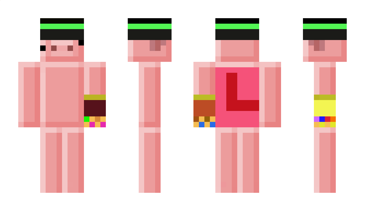 winmc Minecraft Skin