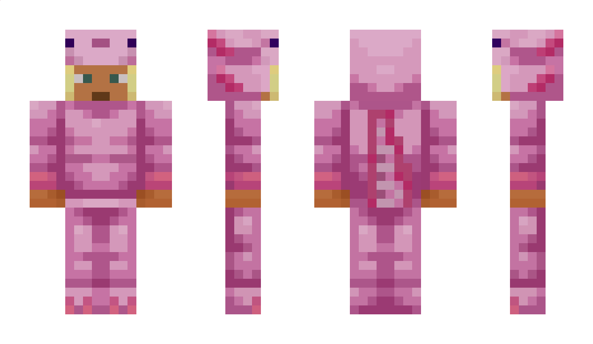 Hr_Chip Minecraft Skin