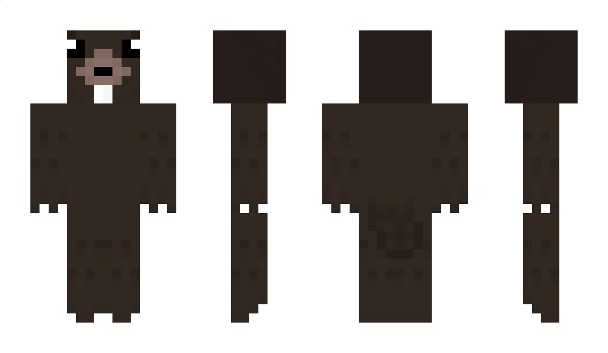 Bober_6867 Minecraft Skin