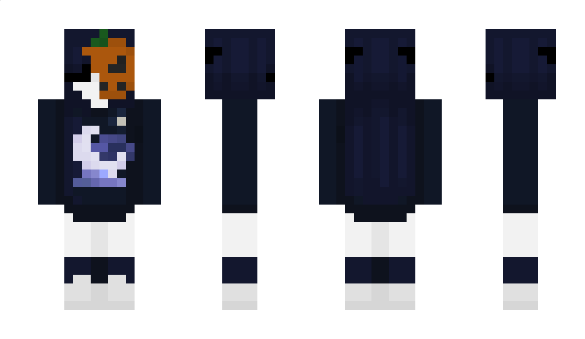 _Coins_ Minecraft Skin