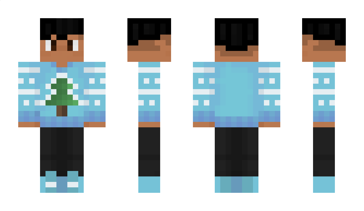 Erthad Minecraft Skin