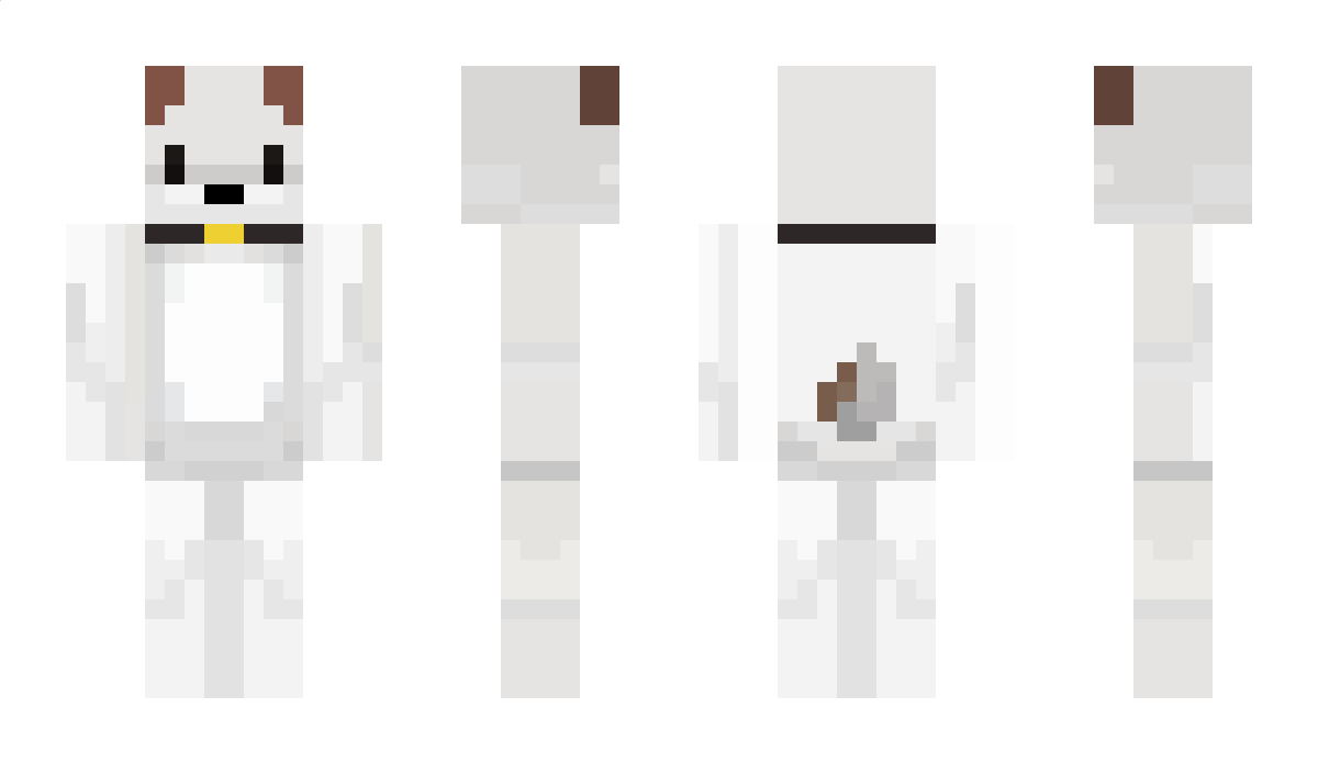 360 Minecraft Skin