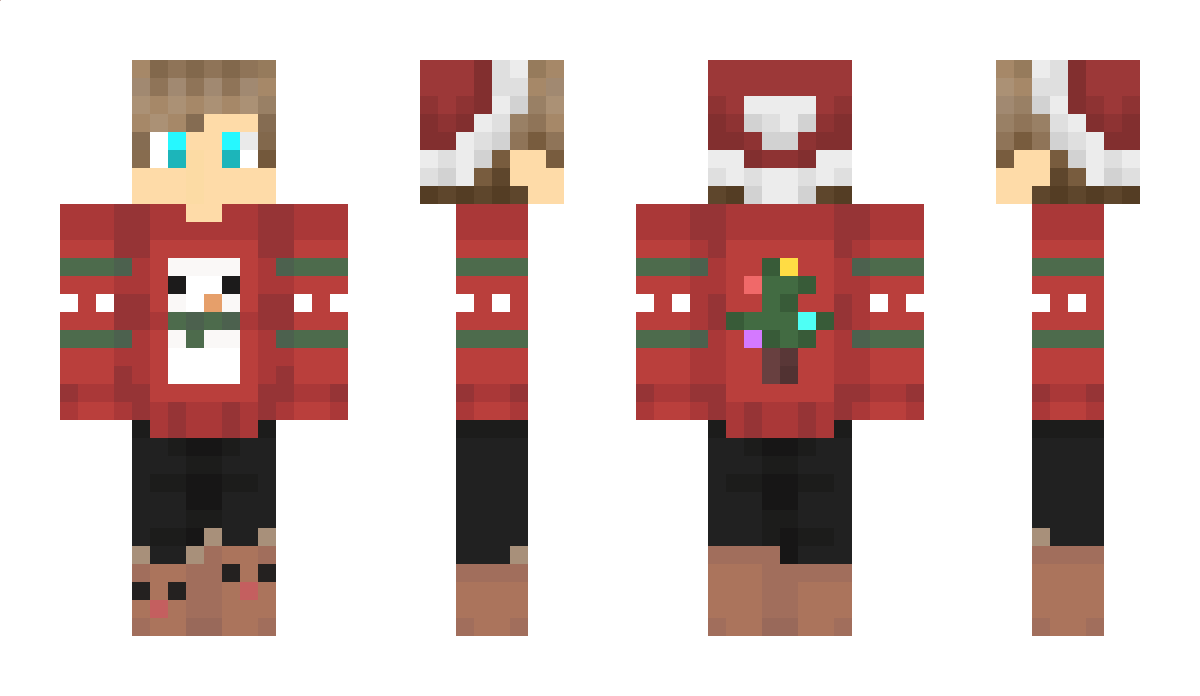 Ksajomi Minecraft Skin