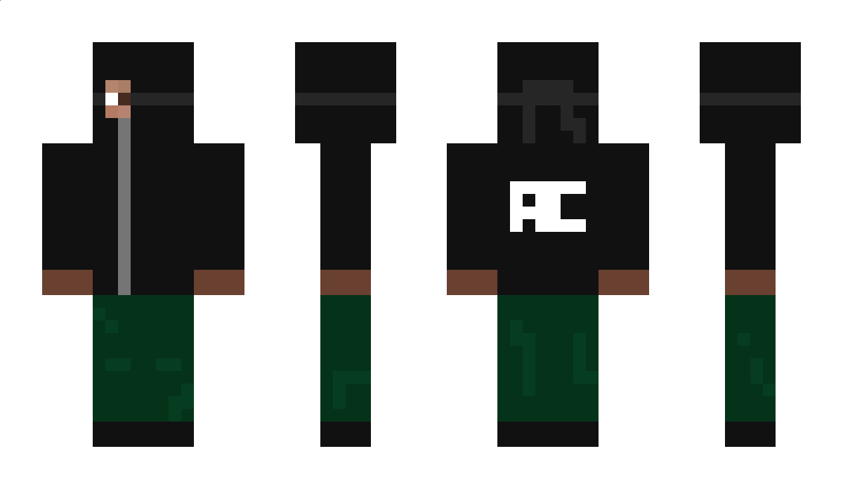 CERaccoon Minecraft Skin