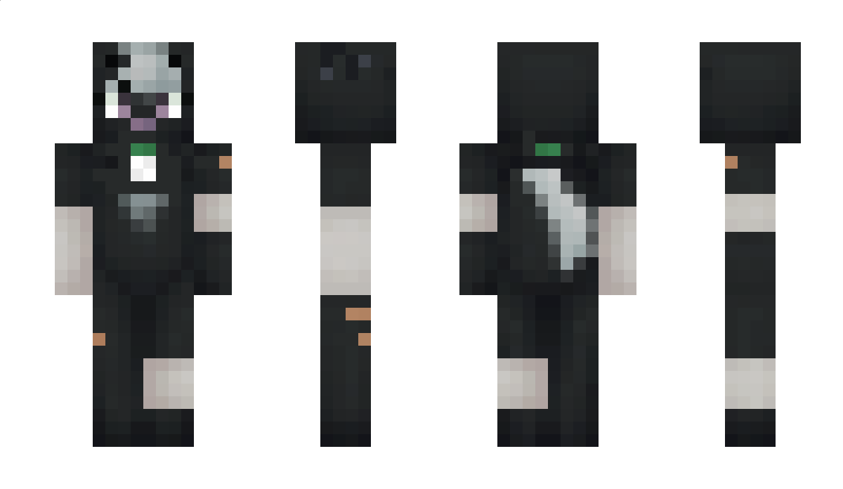 alandymusic Minecraft Skin