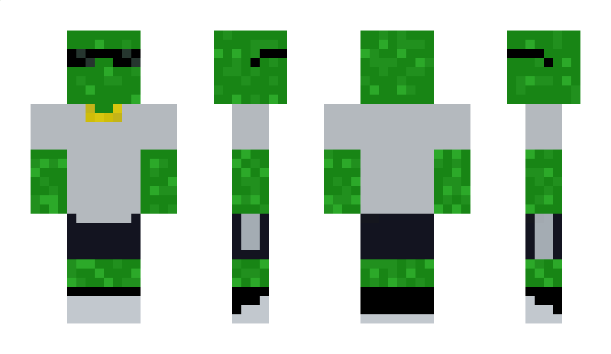 Pickledude18 Minecraft Skin