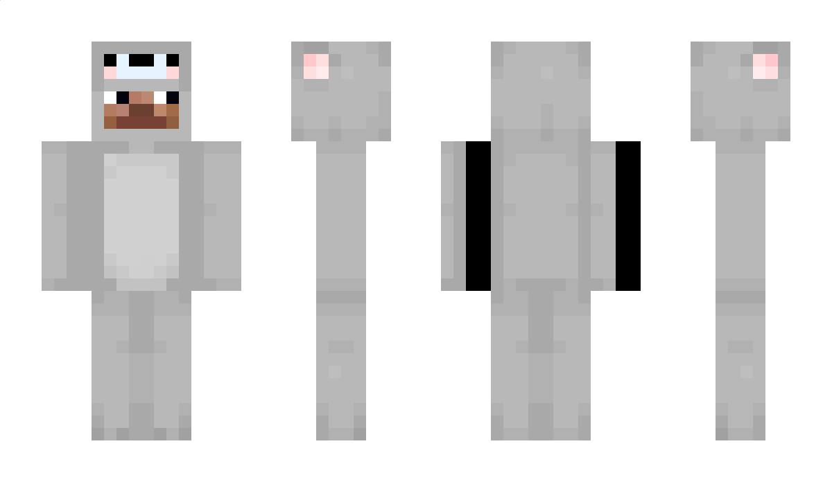 MCgamer5 Minecraft Skin