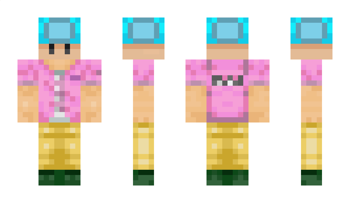 TheToadMC Minecraft Skin