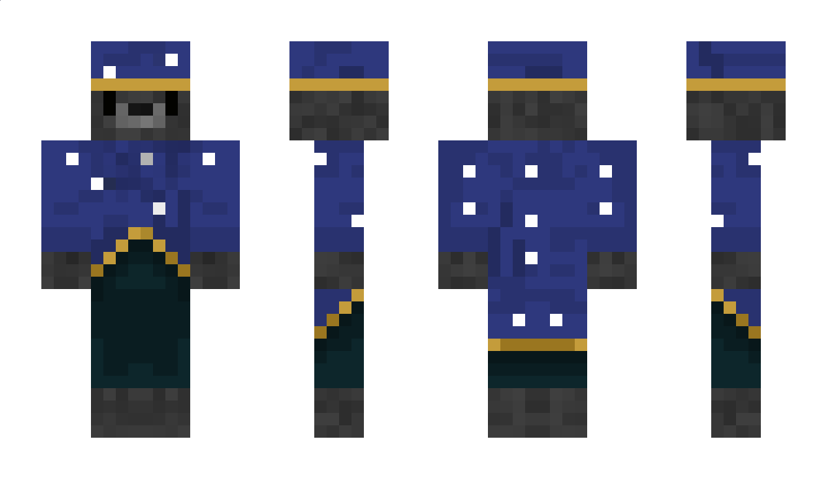 _racoon_ Minecraft Skin