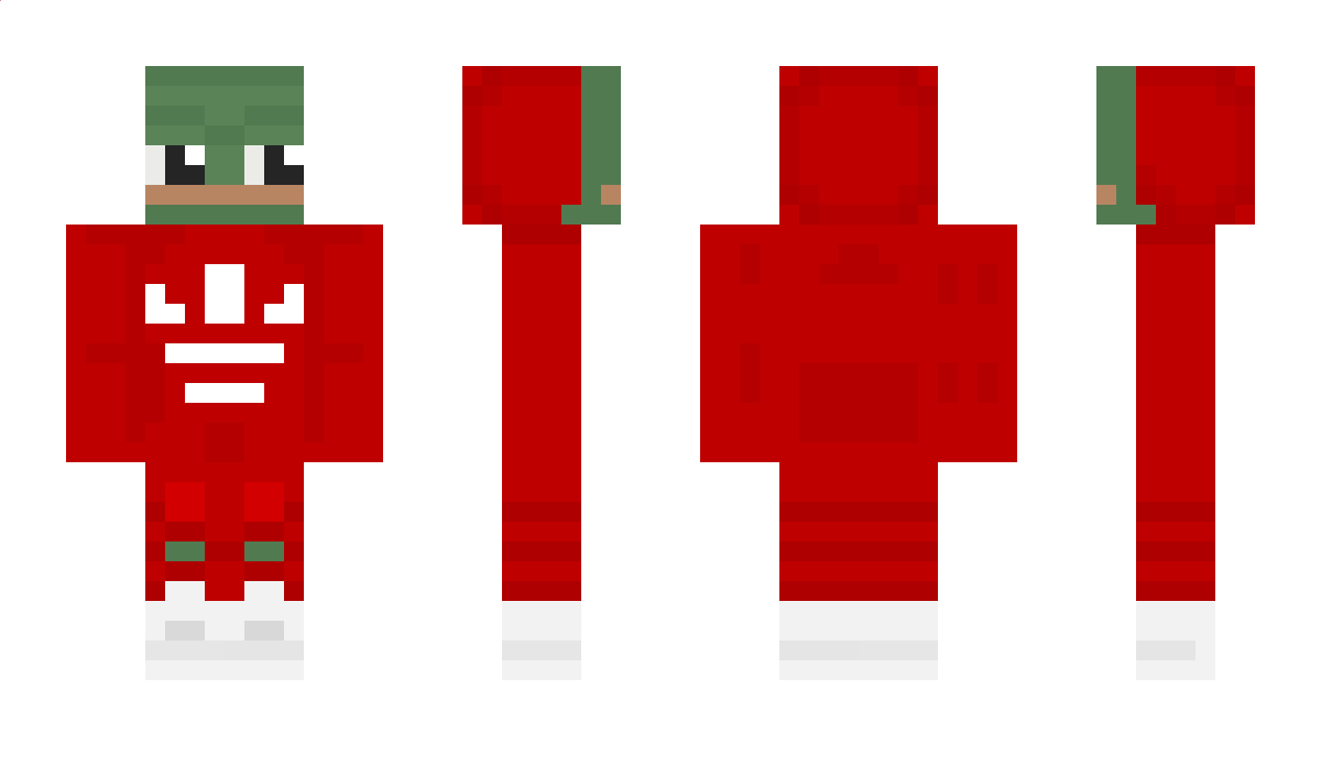 1erZerstoerer Minecraft Skin