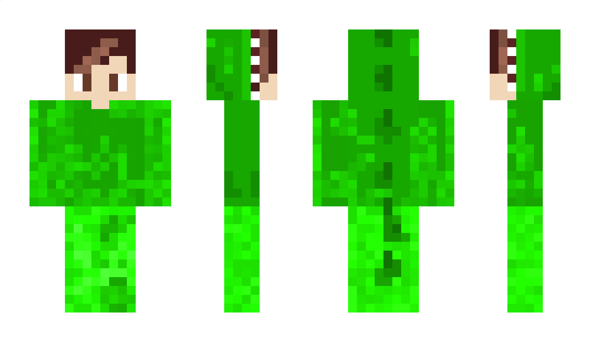 d1nosur Minecraft Skin