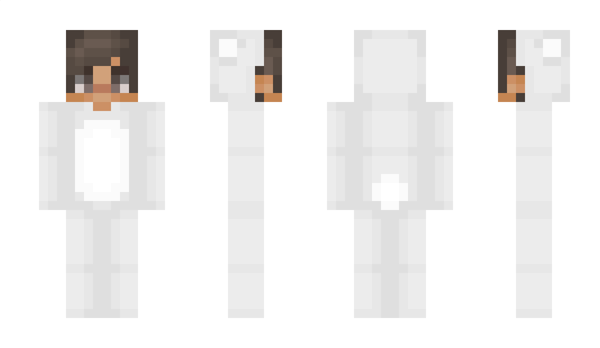 astrix Minecraft Skin