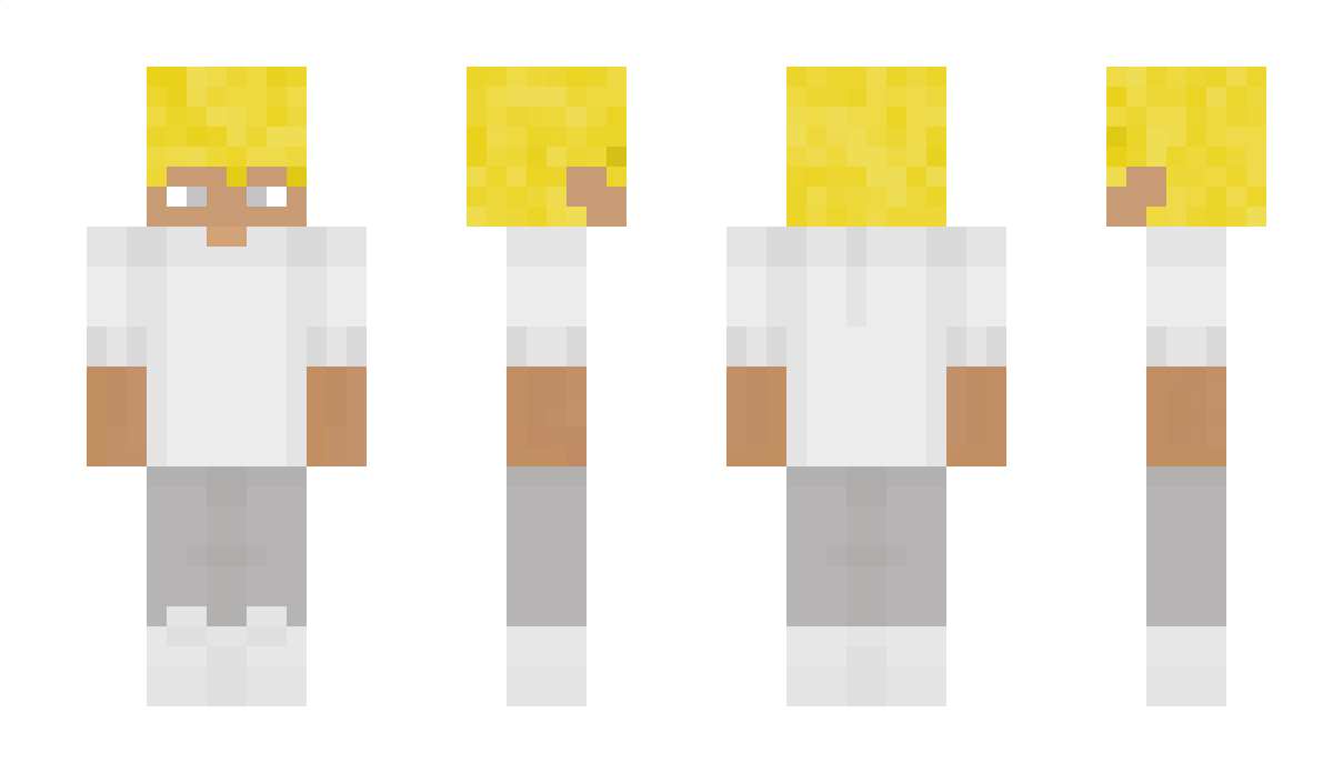 Enthusiastischer Minecraft Skin