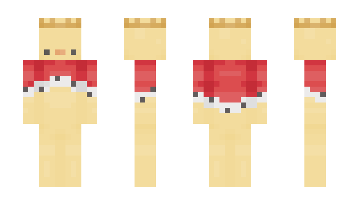 TheDuck523 Minecraft Skin