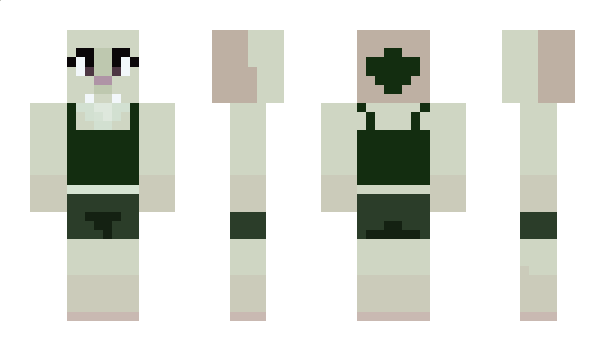 djHernia Minecraft Skin