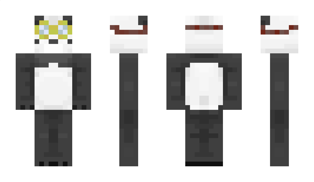 PandakYT Minecraft Skin