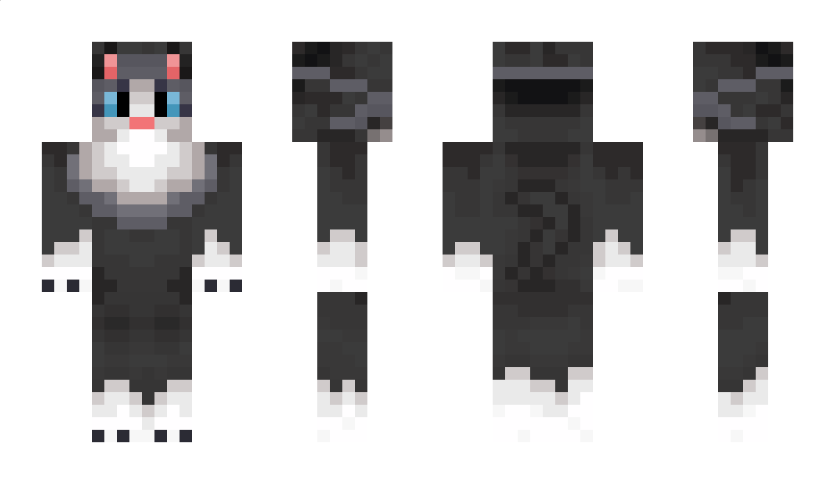 TomyCatt Minecraft Skin