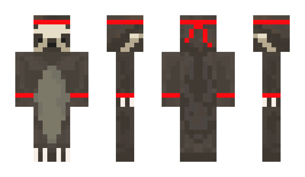 SlothitMC Minecraft Skin