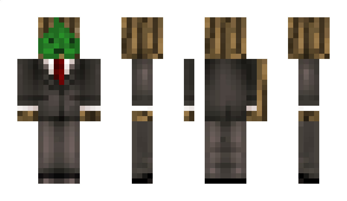 TeGewoon Minecraft Skin