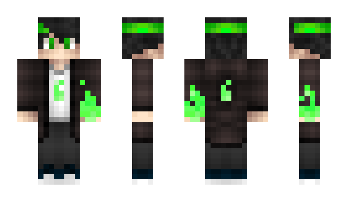 Polid Minecraft Skin