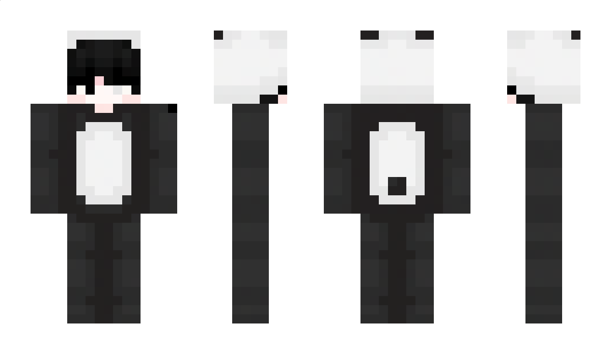 sl_33_py Minecraft Skin