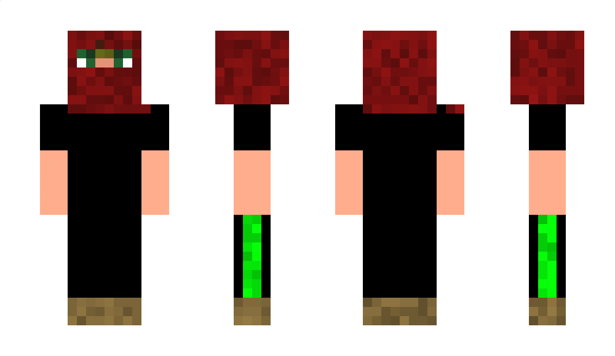 Bcic Minecraft Skin