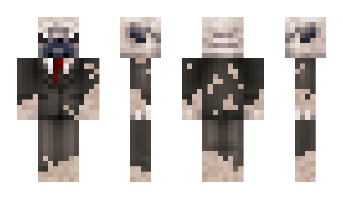 PruffessorPug Minecraft Skin