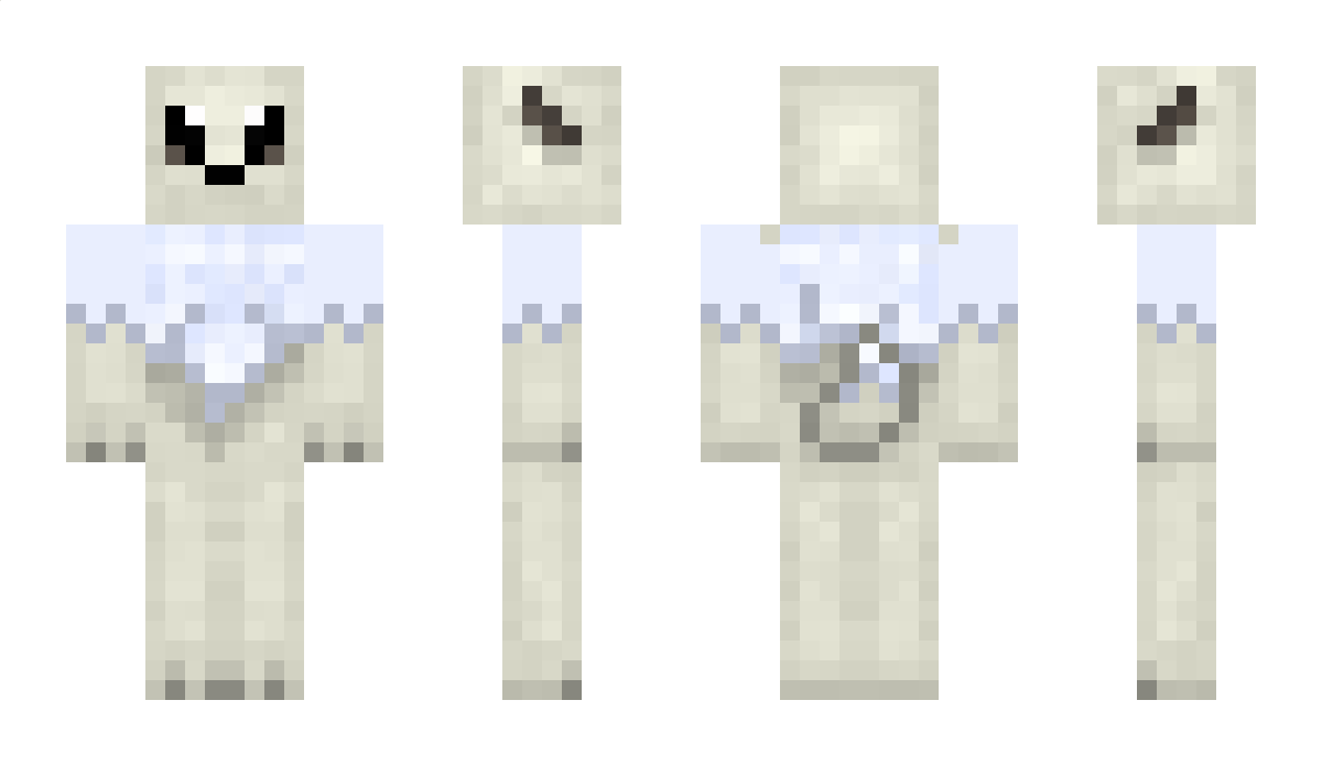 Pauli Minecraft Skin