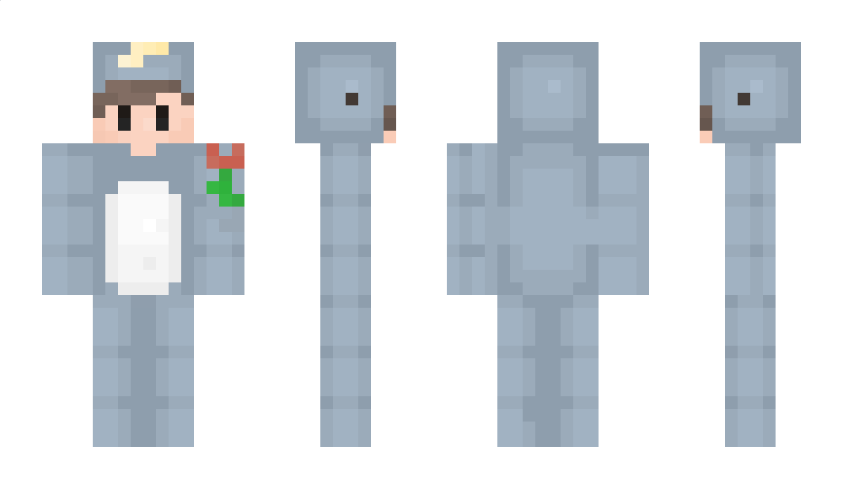 GrayNarwhal Minecraft Skin