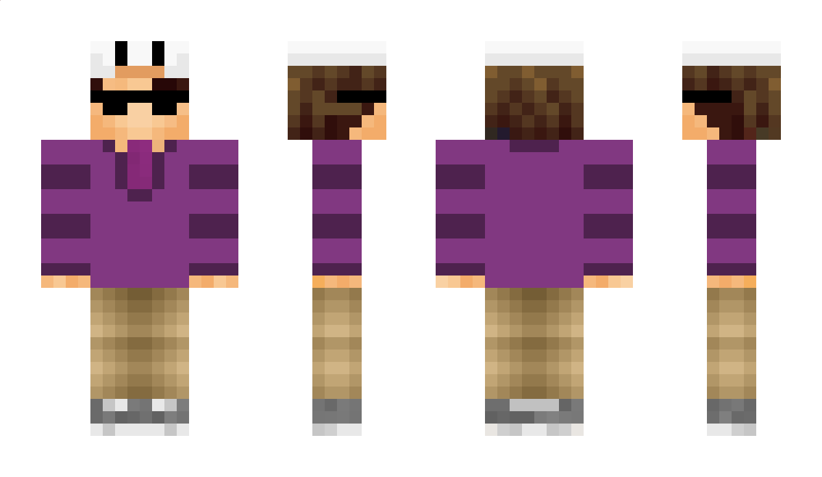 Hoi Minecraft Skin