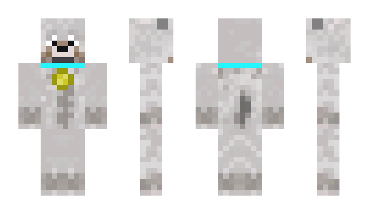 Superdog1209 Minecraft Skin