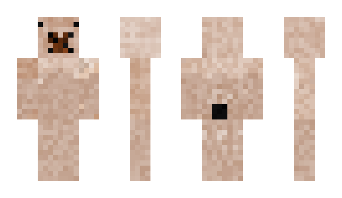 1elkku1 Minecraft Skin