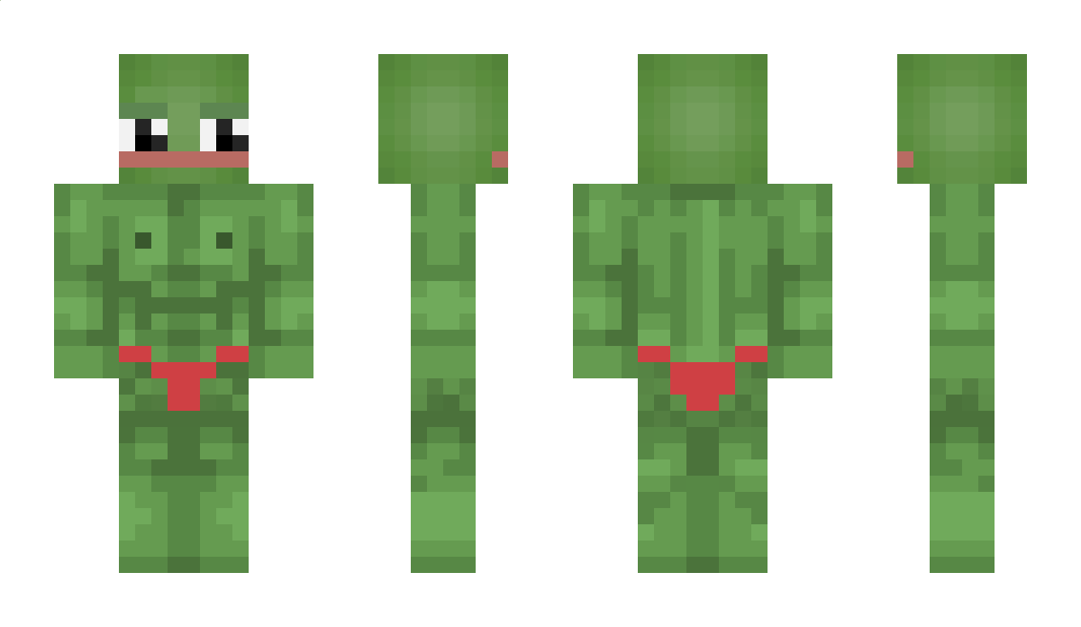 kingy29 Minecraft Skin