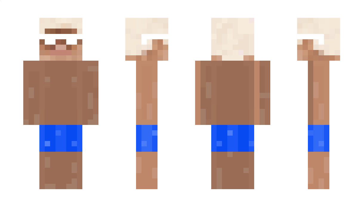 playet Minecraft Skin