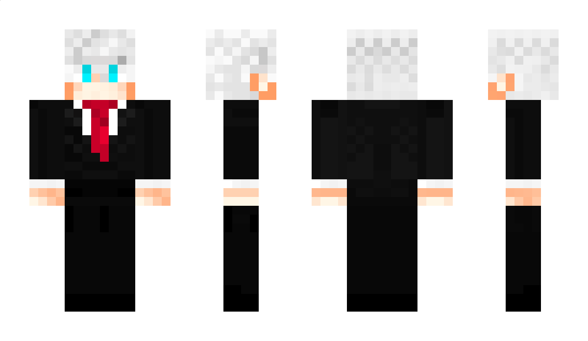 WARVISE Minecraft Skin