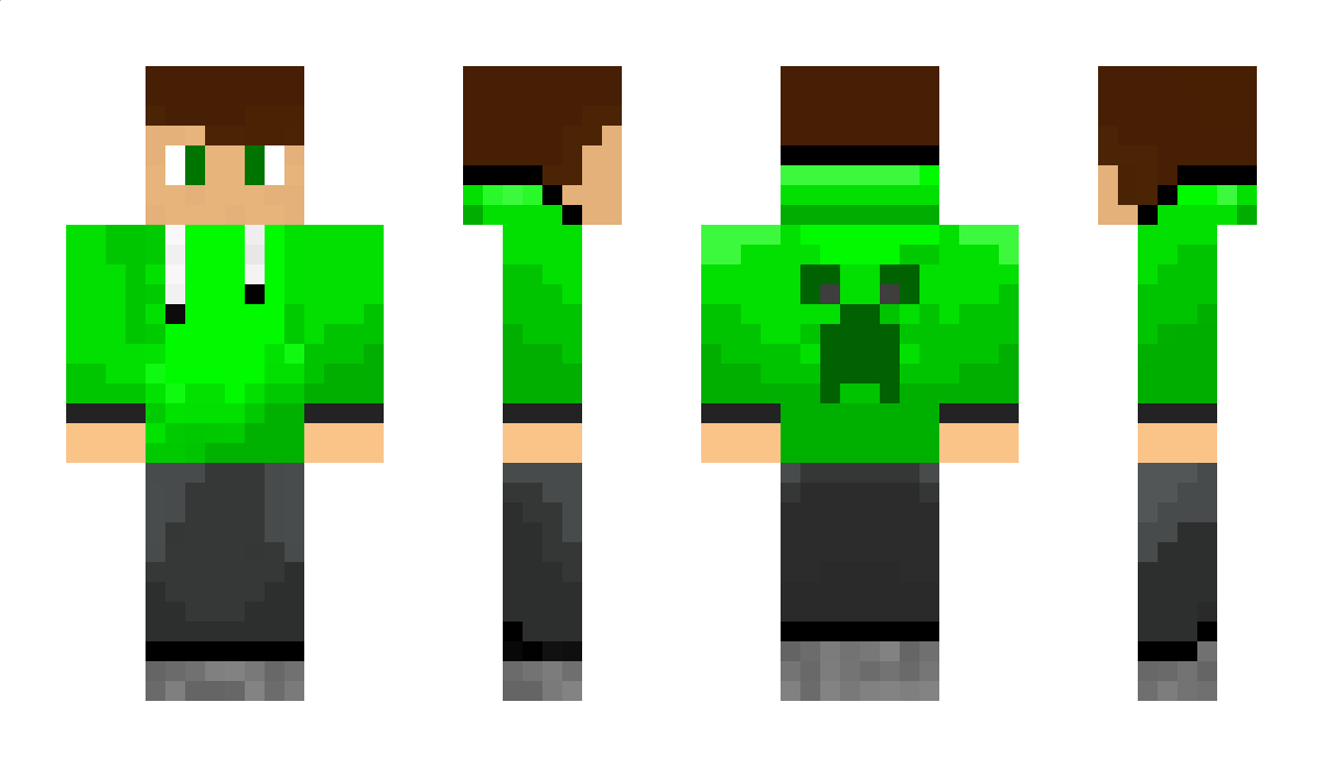 Skiwi Minecraft Skin