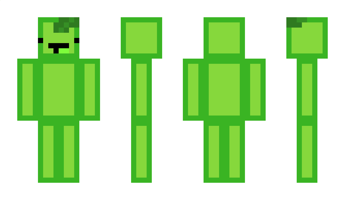 skeppys_lime Minecraft Skin