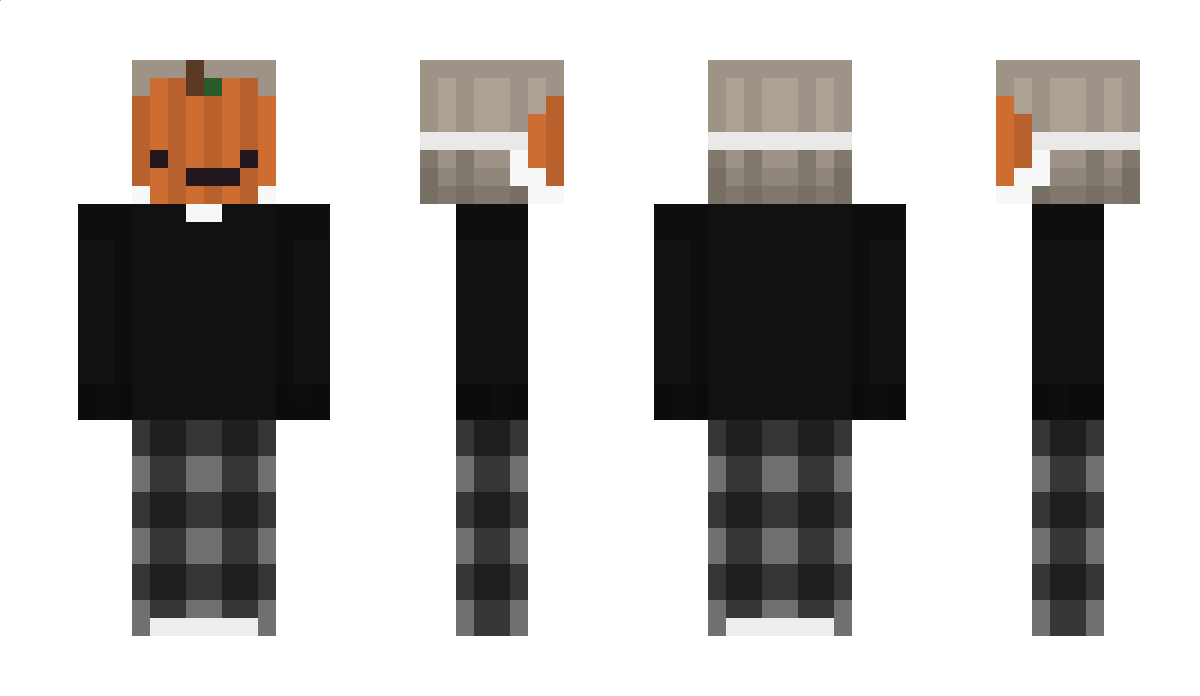 lifeisbest12 Minecraft Skin