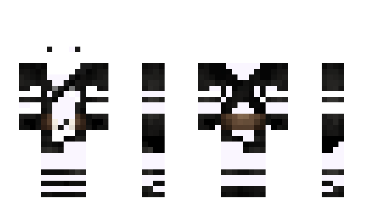 YSGT Minecraft Skin