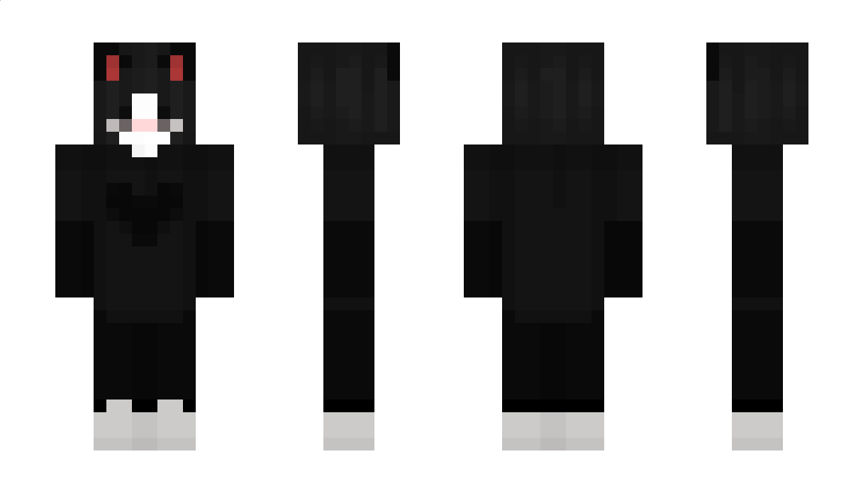 sryallmyfault Minecraft Skin