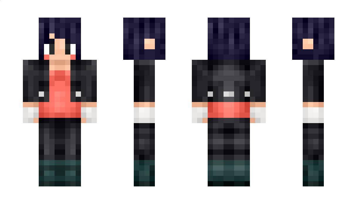 2Net Minecraft Skin