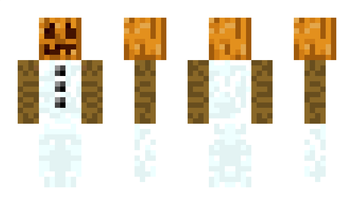 Bilbbo_Bagins Minecraft Skin