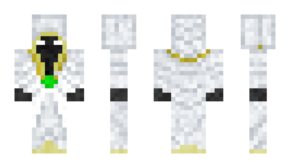 Airwizard Minecraft Skin