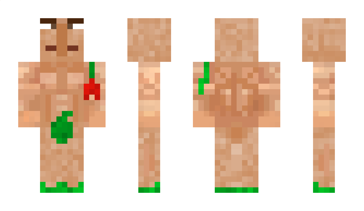 Mr_Ptakdodo Minecraft Skin